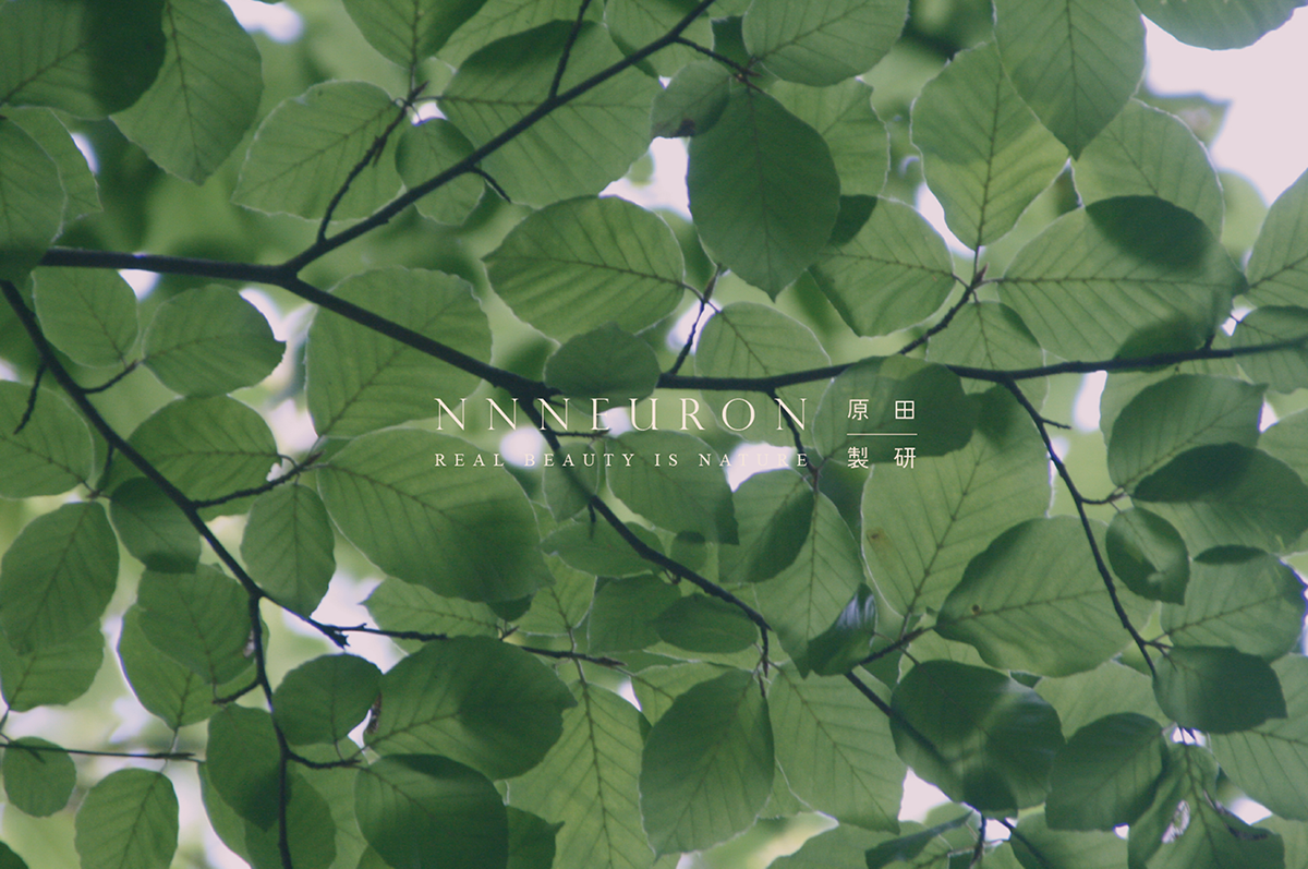 深圳VI設(shè)計(jì)  深圳VI策劃  NNNEURON原田制研保養(yǎng)品VI形象  標(biāo)志設(shè)計(jì)