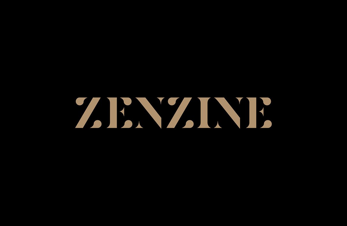 深圳VI設(shè)計(jì)  深圳VI策劃  Zenzine畫冊VI形象設(shè)計(jì)  標(biāo)志設(shè)計(jì)