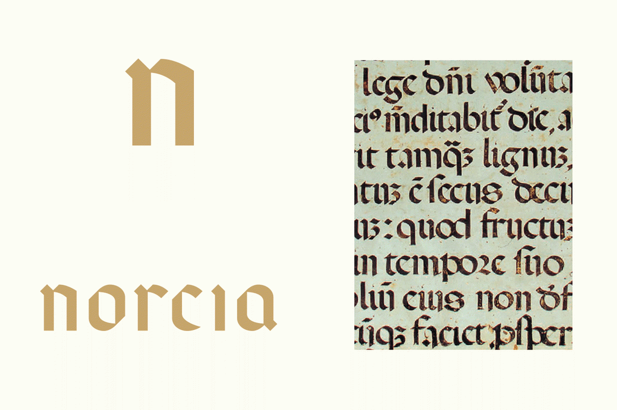 （食品）Norcia 火腿品牌vi設計和logo設計案例，vi設計，食品vi設計，食品品牌vi設計，品牌logo設計，品牌vi設計，vi品牌策劃，深圳vi設計，左右格局